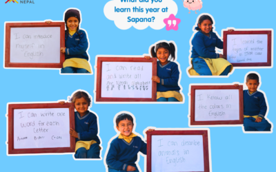 What We Learned This Year at Sapana 🌟