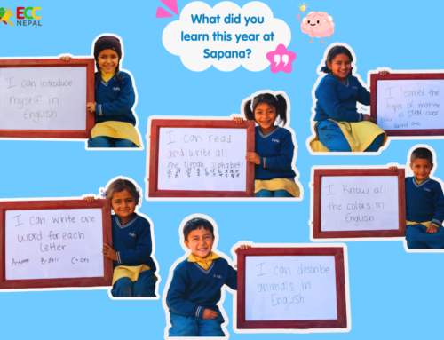 What We Learned This Year at Sapana 🌟